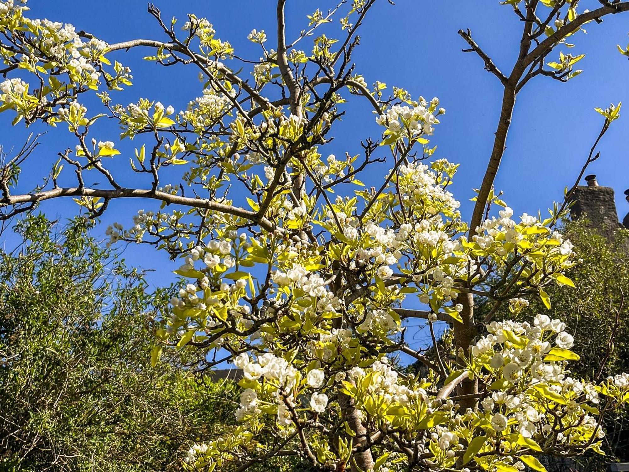 Pear Tree Cottage Wirksworth Εξωτερικό φωτογραφία
